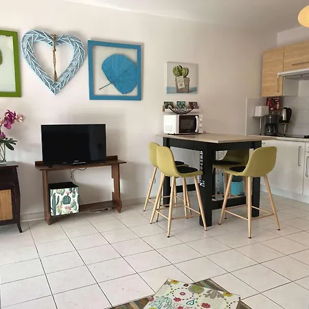 T2 Avec Terrasse, Parking Et Wifi - Fr-1-553-203 *