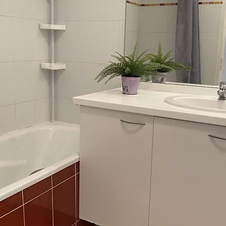 Apartment T2 Avec Terrasse, Parking Et Wifi - Fr-1-553-203