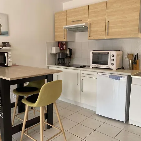 Apartment T2 Avec Terrasse, Parking Et Wifi - Fr-1-553-203
