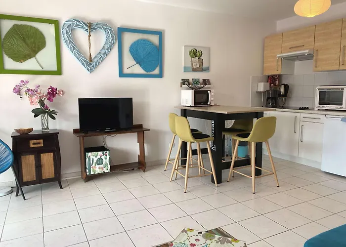 T2 Avec Terrasse, Parking Et Wifi - Fr-1-553-203 *