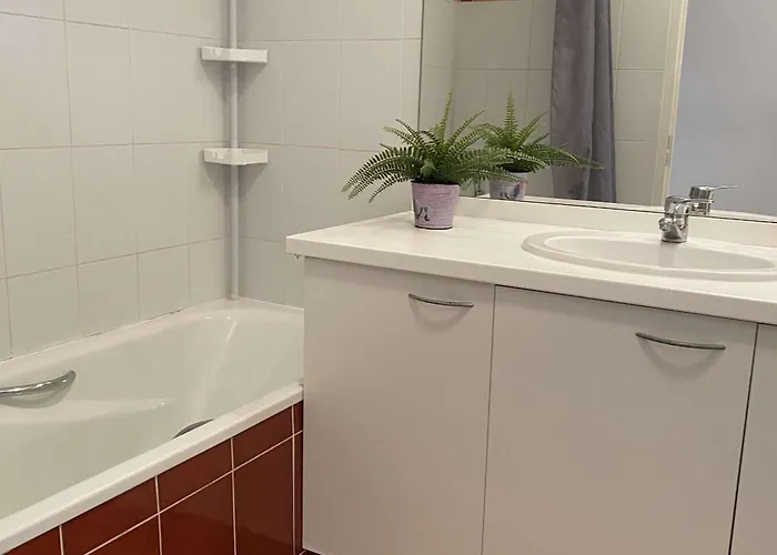 Lejlighed T2 Avec Terrasse, Parking Et Wifi - Fr-1-553-203