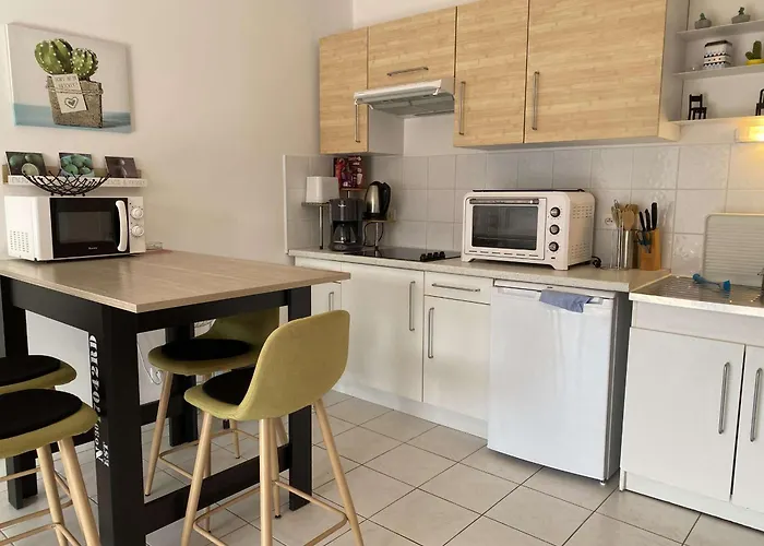 Lejlighed T2 Avec Terrasse, Parking Et Wifi - Fr-1-553-203